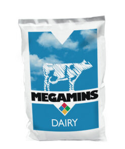 MEGAMINS DAIRY